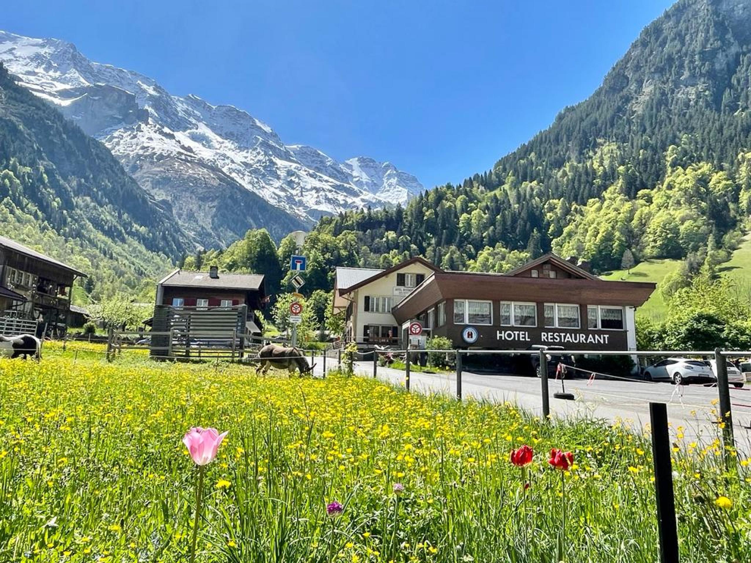 Hotel Restaurant Stechelberg