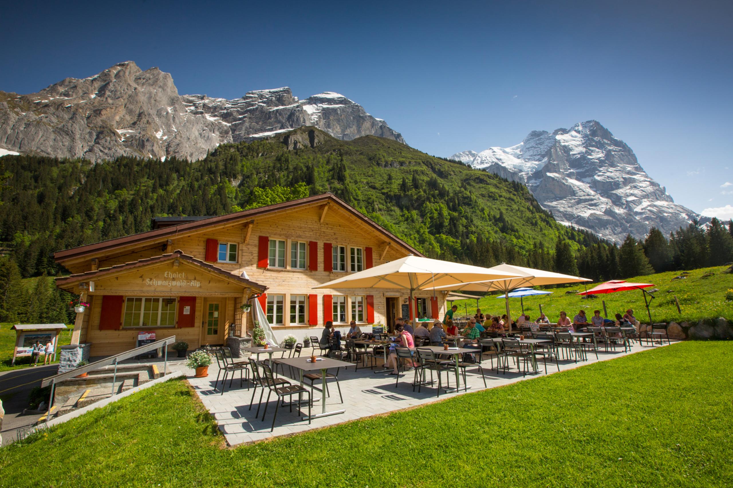 Chalet-Hotel Schwarzwaldalp