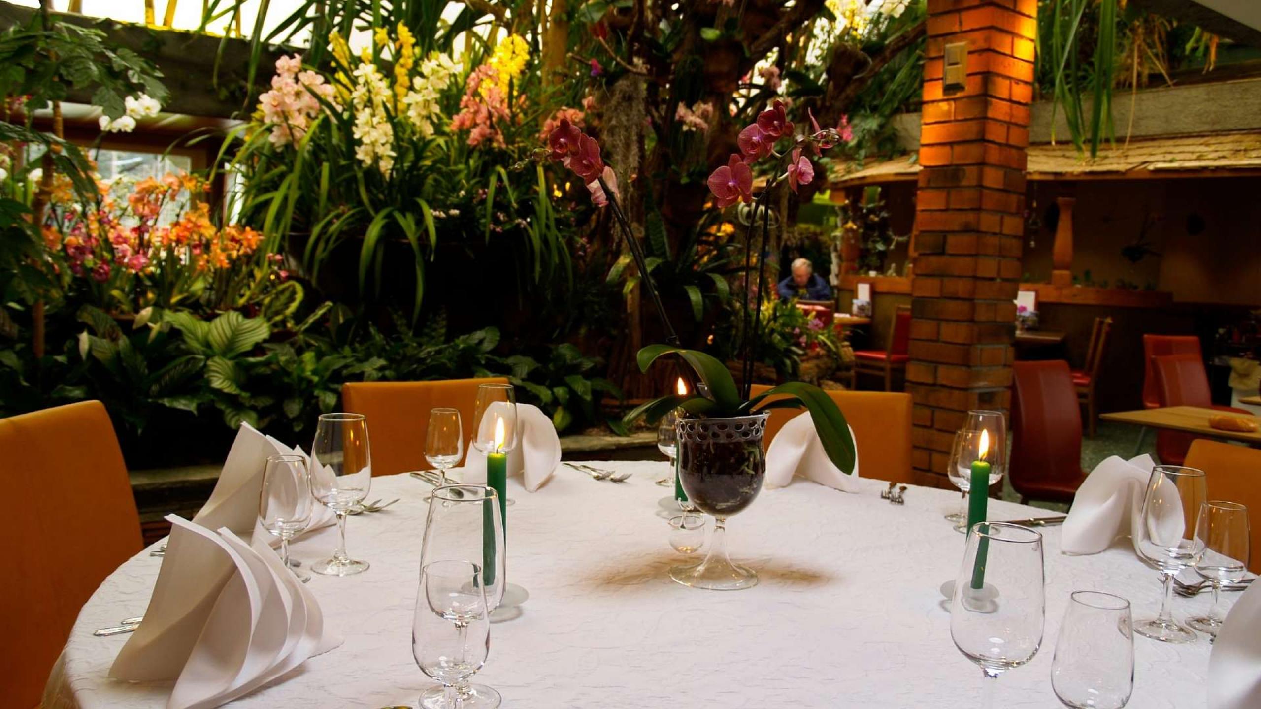 Restaurant Florida AG